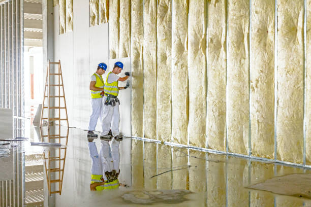 Best Insulation Maintenance and Repair in Newport East, RI